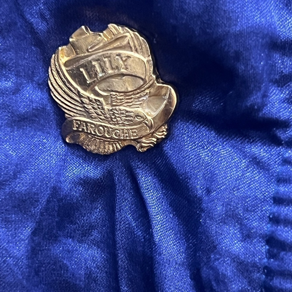 Lily Farouche Vintage Blue Ski Bomber Jacket w/Gold Dragon & Phoenix Size S/M - Picture 4 of 8